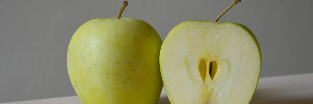 Apple's Siri AI Pay-Per-Use Deal Puts Nine-Figure Bet on Publishers — Inblix summary