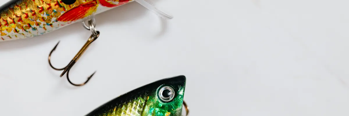ChatGPT gave this angler 5 years of experience in 60 seconds — Inblix summary