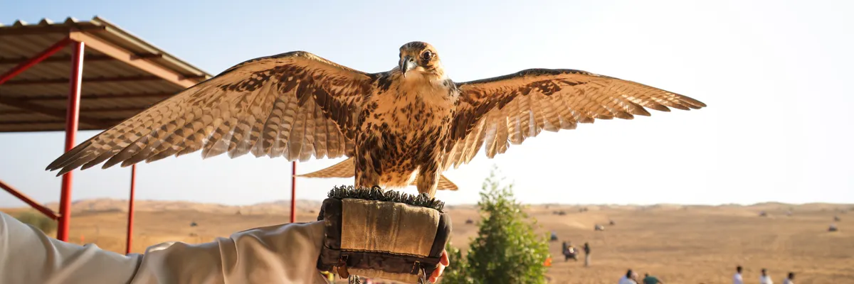 Falcon-H1-Arabic Hits 256K Context, Outperforms Bigger Models with Hybrid Design — Inblix summary