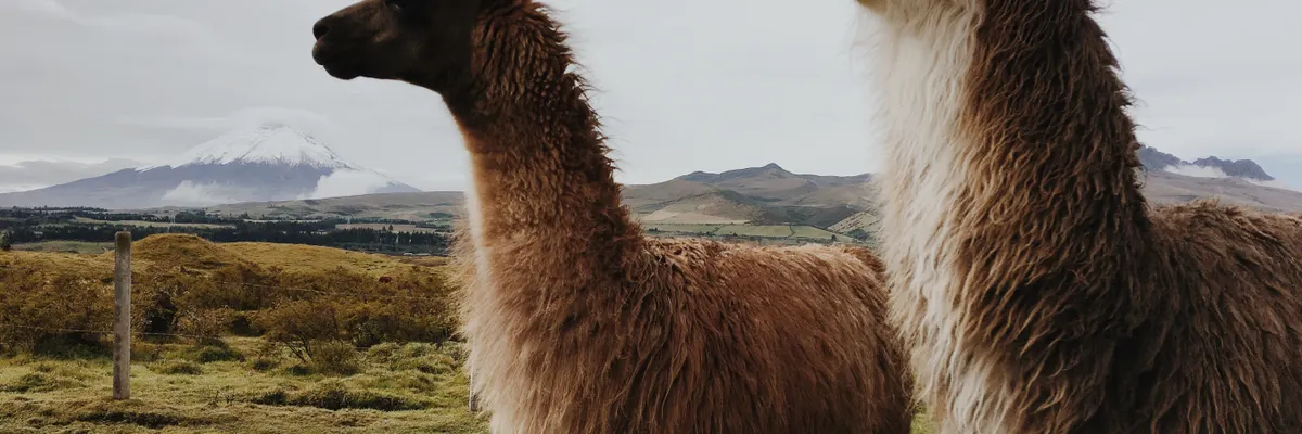Llama 3.2 Has Been Quietly Working in Keras Since Day 1 — Inblix summary