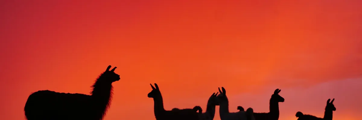 llama.cpp now juggles multiple models without crashing, just like Ollama — Inblix summary