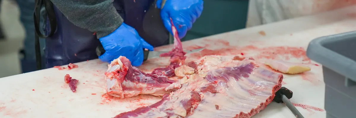 OpenAI Busted a Cambodian Pig-Butchering Ring Using ChatGPT to Romance Victims — Inblix summary