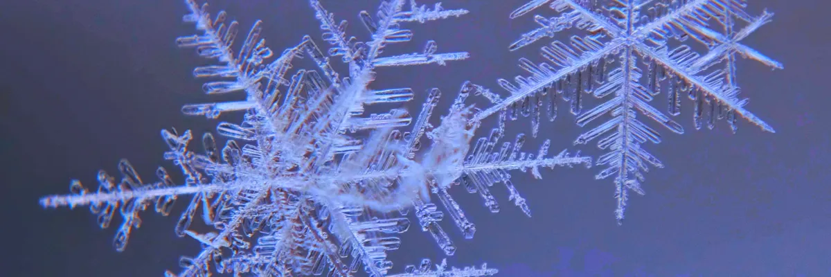 Snowflake’s Ulysses trick trains transformers on million-token contexts across GPUs — Inblix summary