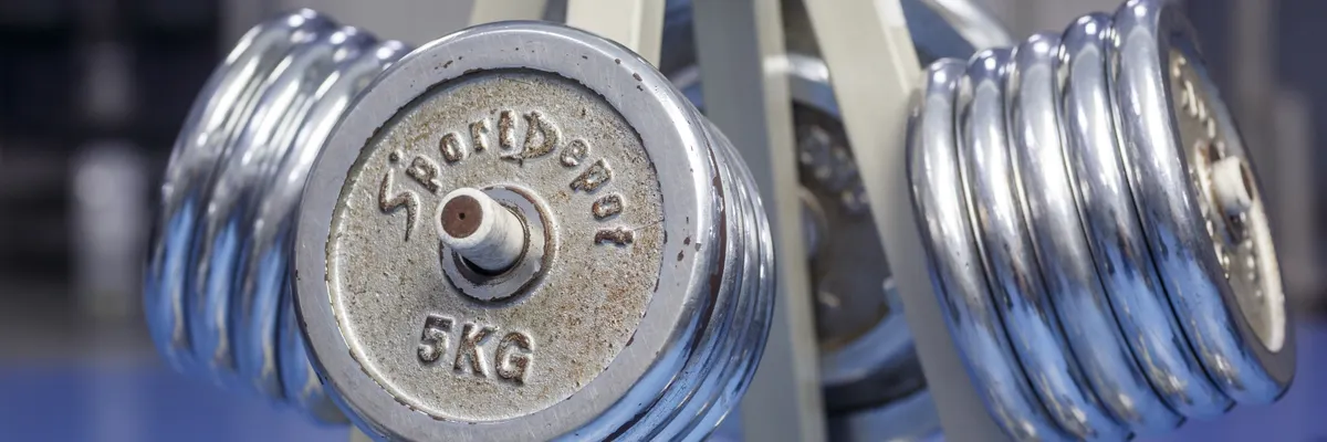 Weight Normalization decouples direction from length, speeding training — Inblix summary